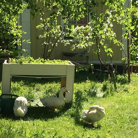 Ollila Rantamoekit Dağ evi